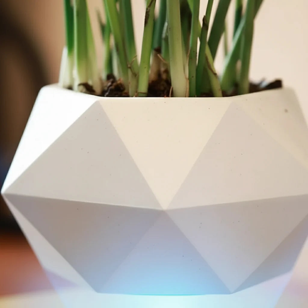 Pot bonsaï flottant - présentation dans un intérieur