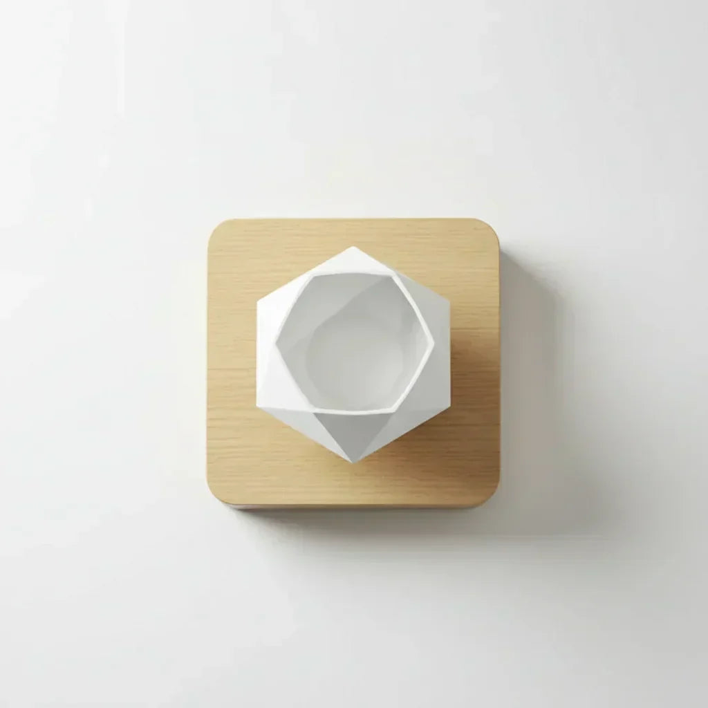 Pot bonsaï flottant - idée cadeau décoration zen