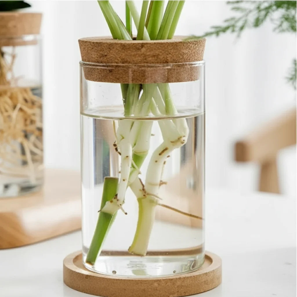 Pot de fleurs hydroponique - dans un intérieur