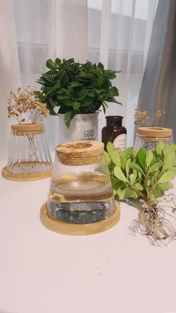 Pot de Fleurs Hydroponique – Culture Sans Terre & Design Moderne