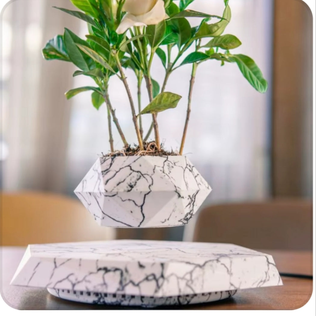 Pot Bonsaï Flottant à Lévitation Magnétique – Déco Zen Futuriste